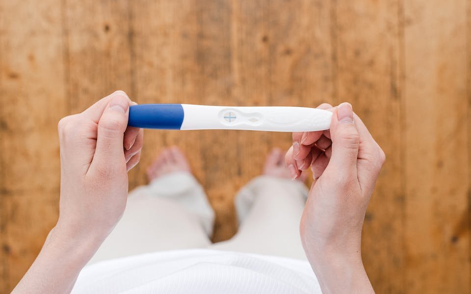 Kehamilan Trimester 1: Perkembangan janin & Tips Menjaganya