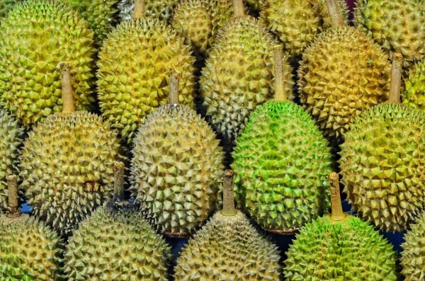 Bolehkah Ibu Hamil Makan Durian? Ini Kandungan & Manfaatnya