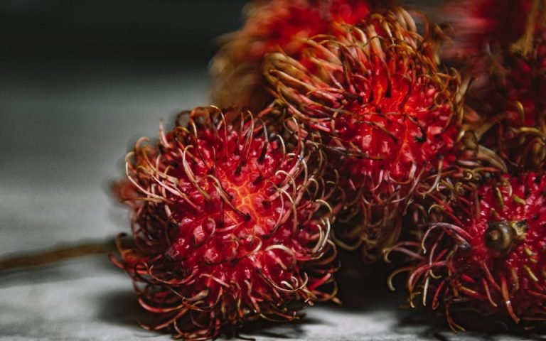 Bolehkah Ibu Hamil Makan Rambutan? Ini Jawabannya