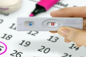 kalender kehamilan
