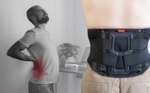 new life back pain support belt