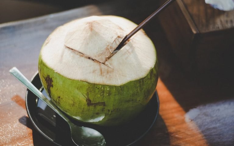 8 Manfaat Air Kelapa untuk Ibu Menyusui, Jaga Imun Tubuh!