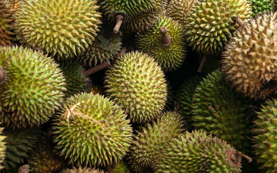 Bolehkah Ibu Menyusui Makan Durian? Ini Tips Mengonsumsinya